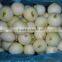 Supply Fresh Yellow Onion