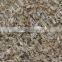 Automatic Strengthed Artificial Rice Machinery/Industry Automatic Broken Rice Remade Machine