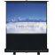 Pull down projector screen /portable floor screen/pull up projector screen