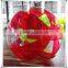Roll inside inflatable ball, inflatable ball for people, giant inflatable outdoor ball