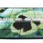Party disco night club P10 Outdoor led video dance floor