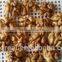 New Crop Best Price Chinese Walnut Kernel Light Halves