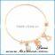 various kind pendant charm Wholesale Adjustable Wire Bangle