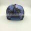 Custom 100% Polyester 6 Panel Snapback Hats Wholesale