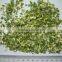 new crop of dehydrated chive flake 3x3 5x5 8x8mm