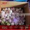 New fresh hot sale white garlic