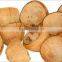 kerala coconut shell