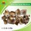 Most Popular Dried Gray Oyster Mushroom