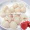 Special offer 2015 Sweet Canned Lychee fruit in Syrup