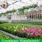 High Quality Polycarbonate Greenhouses for Tomatoes