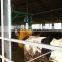 2016 Factory Made cattle farm equipment Cow body Brush