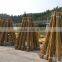 bamboo sticks pole shape for plant tree nursery support