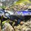 EN 341 Aluminium Rescue Stop Descender Safety Rock climbing Descender Rappelling Belaying