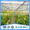 6m/8m/9/Arch Roof Greenhouse For Vegetables With Side Ventilation Covered By Plastic Film