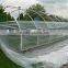 HDPE plastic greenhouse covering film, mushroom agricultural film, high quality plastic film