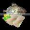 Frozen Fillets of John Dory Fillet Zeus Faber Fillet 150-200g