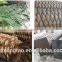High Quality Outdoor Decoration Artificial Date Plam Tree
