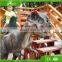 KAWAH Amusement Park Realistic Animal Artificial Mechanical Dinosaur Ride