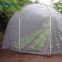 Korea white fiberglass anti insect net for greenhouse