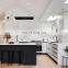 Hot Factory Supply Lacquer Kitchen Cupboard Kitchen Cabinet Kitchen Furniture Set