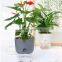 Unique Artificial Wedding Garden Tiny Indoor Plant Cheap Outdoor Decorative Small Large Plastic Flower Pots