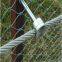Good Tolerance Cage The Birds In The Net Convenient Transportation