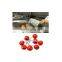 best Cherry stem removing machine Cherry /fruit processing machine