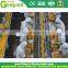 Small scale canned mandarin orange processing plant