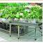 APEX supermarket shelf or grocery stainless steel fruit vegetable display rack/vegetable and fruit display shelves