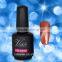 Nail Gel Glitter Colors 15ML Nail Gel Polish Soak Off Nail Art Tutorial