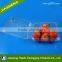 Hot Selling Plastic Transparent Hinged Blister Packaging Boxes for Blueberry and Strawberry