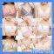 HOGIFT 2015 Wholesale Hot Selling Sexy Women Nursing Bra