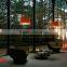 Modern chromatic twiggy floor lamps colorful twiggy lighting with sophisticated design