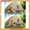 Automatic pop up extra large 3 person Family Camping Tents                        
                                                Quality Choice