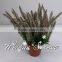 Artificial Bonsai tree plastic Cypress small potted plant for home/office decoration making