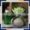 high quality handmade sola wood flower european china home decor reed diffuser wholesale                        
                                                                                Supplier's Choice