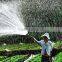 TRI PLUNGER POWER SPRAYER CH30 2HP AUTOMATIC