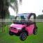 Quality assured electric sightseeing golf cart from Golden supplier