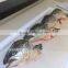 ATLANTIC SALMON HEADS