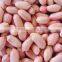 Chinese peanut kernels in long shape best price