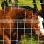 PVC coatedsheep fence panels sheep wire fence sheep wire mesh fence(hot sale) of manufacture