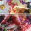 380T nylon taffeta printing nylon fabrics for down jackets