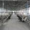 steel structure horse house