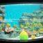 Hot Sale A-grade High-quality Plexiglass Aquarium 50mm Thick Acrylic Sheet