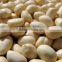 New crop Blanched Peanut kernels, round shape, carton packing top quality