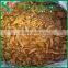45KG/DRUM Whole Mushroom Cantharellus Cibarius in Brine