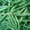 BRC,KOSHER,HALAL frozen stringless green bean