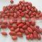 wholesale big size blanched peanut kernels(ground nut seeds)