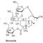 Sweetener Nutrition Enhancers co-crystalization erythritol