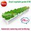 Hot selling cheap kitchenware herb flower pots sky planter